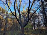  Wendy Oaks Rd - Photo 16