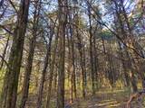  Wendy Oaks Rd - Photo 4