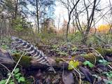  Wendy Oaks Rd - Photo 7