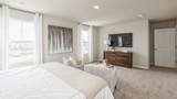 20 Verbena Lane - Photo 12