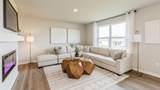 20 Verbena Lane - Photo 3