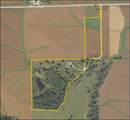  886 Henik Rd. - Photo 3