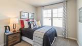 17 Verbena Lane - Photo 15