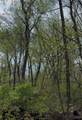  Milburn Rd And 5834 Timber Creek Road - Photo 10