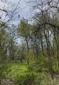 5834 Timber Creek Road - Photo 4