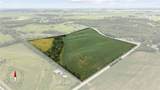 379 Acres +/- Corner Of Smyth Rd & Holmans Rd - Photo 1