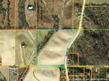 379 Acres +/- Corner Of Smyth Rd & Holmans Rd - Photo 7