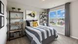 3917 Rueben Drive - Photo 15