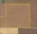 1747 Big Springs Road - Photo 3