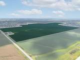  26.35 Acres M/L Quass Rd - Photo 5
