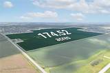  26.35 Acres M/L Quass Rd - Photo 6