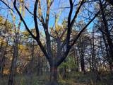  Wendy Oaks Rd - Photo 16