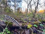  Wendy Oaks Rd - Photo 7