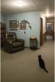 117 Main Street - Photo 25
