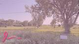  Alburnett Road - Photo 1