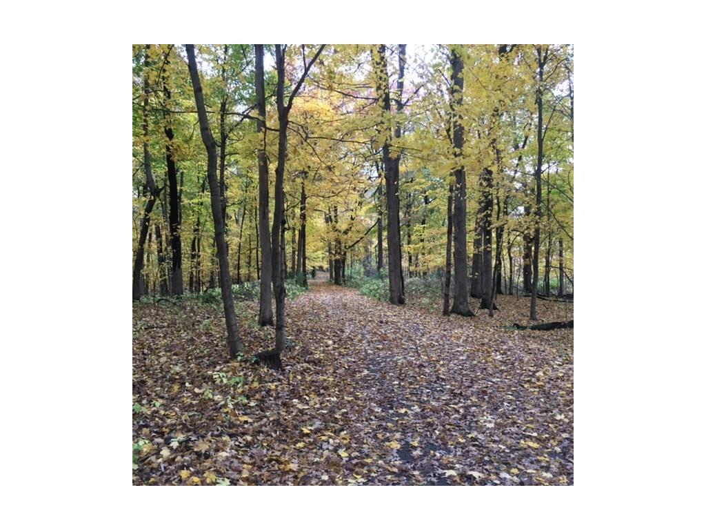 Lot 2 253rd Street - Photo 1