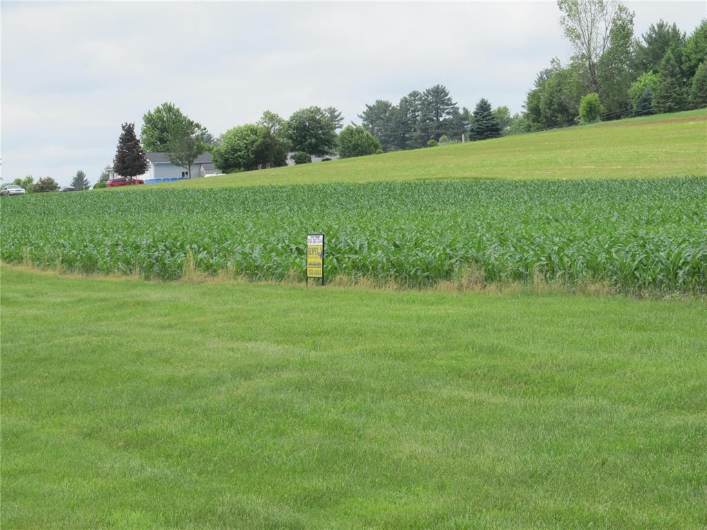 Main Ridge Road - Photo 1