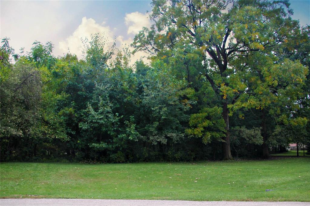 Lot 9 Kervin Court - Photo 1