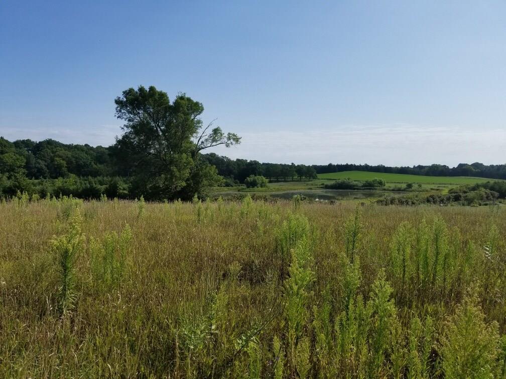 18708 Co Rd D62 - Photo 1