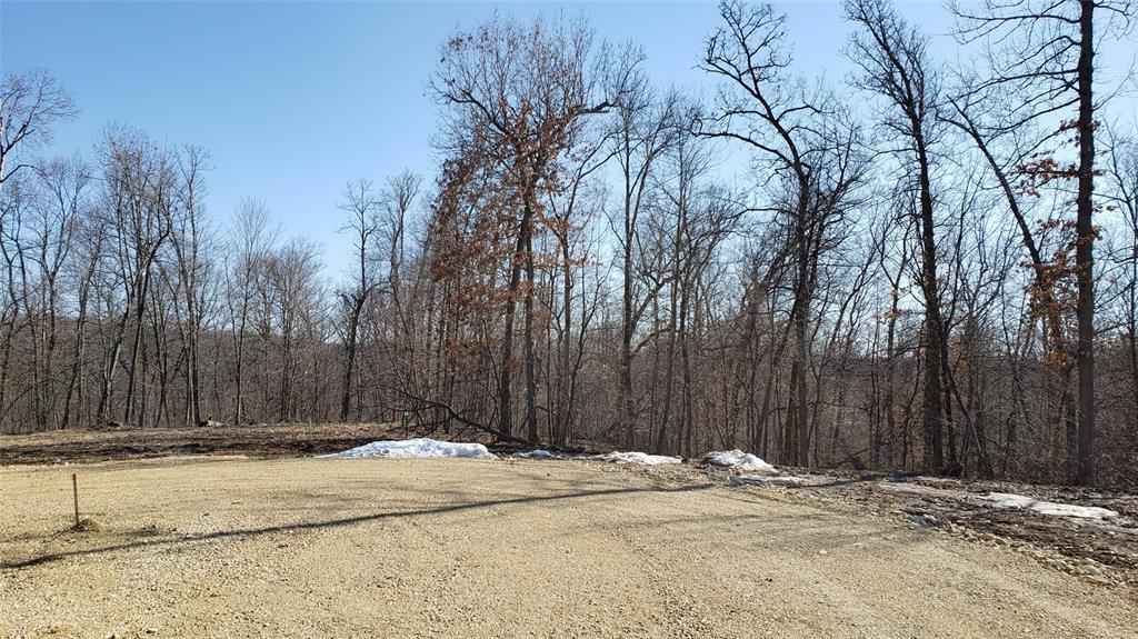Lot 9 Wapsi Ridge - Photo 1 Lot 9 Wapsi Ridge - Photo 1