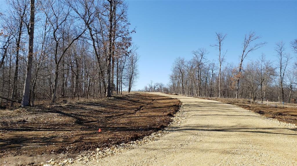 Lot 10 Wapsi Ridge - Photo 1