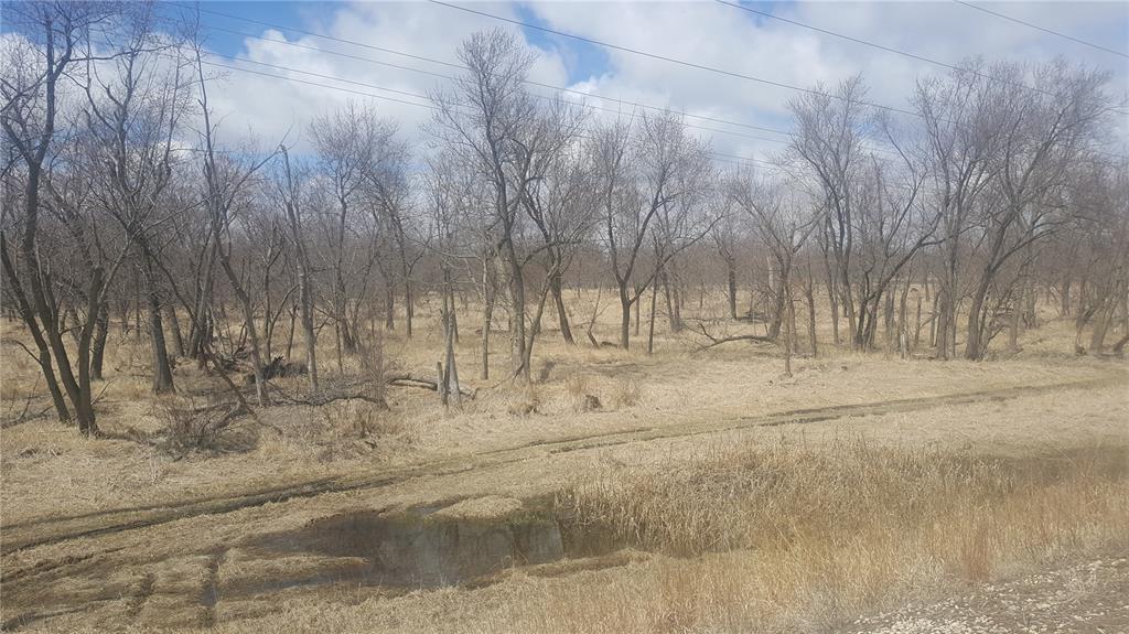 2930 Hwy 6 Trail - Photo 1
