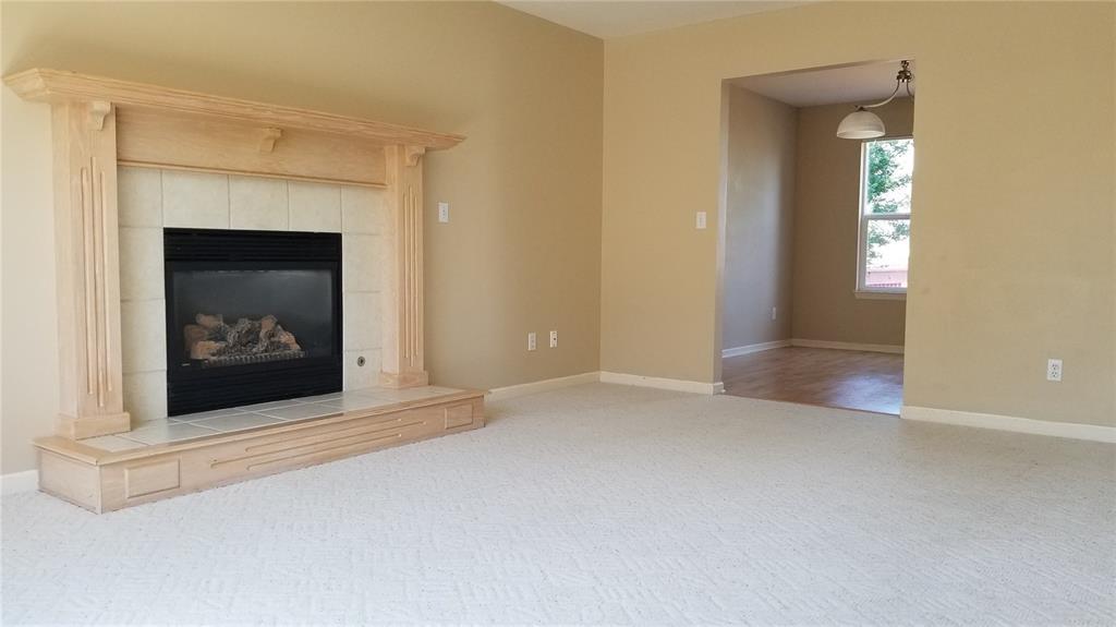 2280 Geode Street - Photo 1