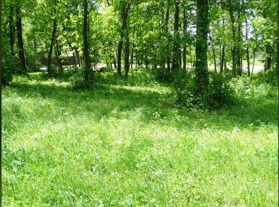 355 Arrowhead Lane - Photo 1