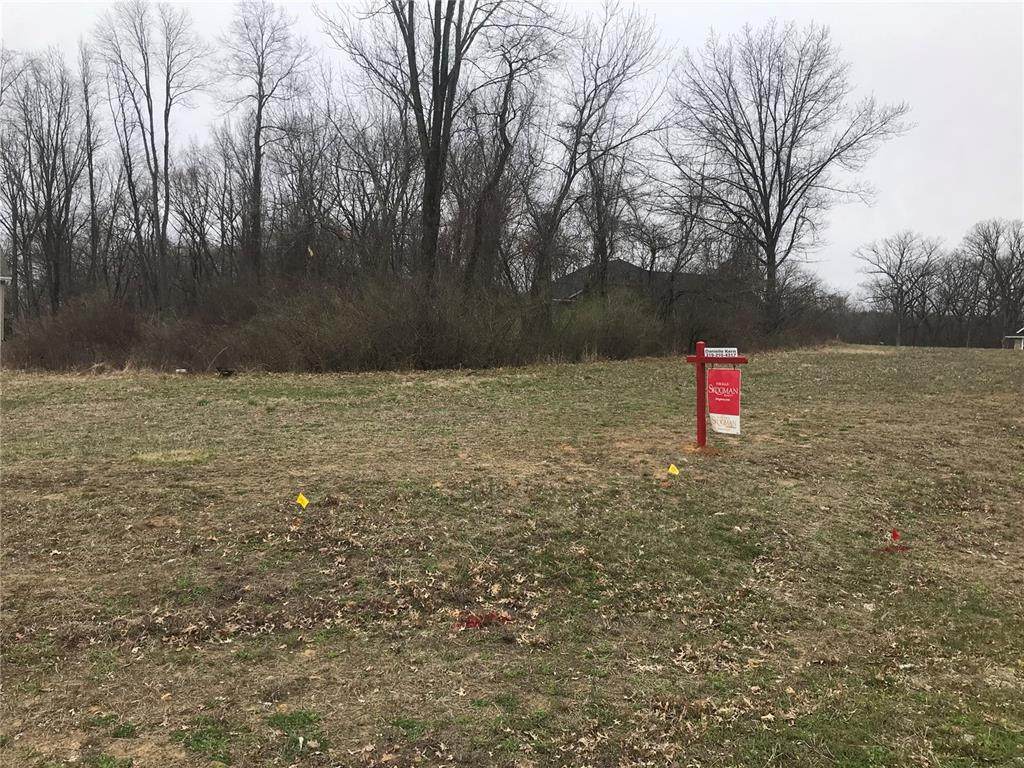 Lot 17 Wild Rye Court - Photo 1