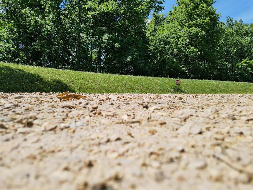 14319 Blackberry Ln - Photo 1