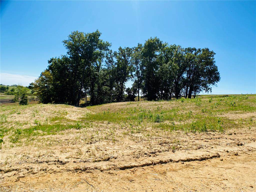 Lot 16 Fox Run Drive - Photo 1