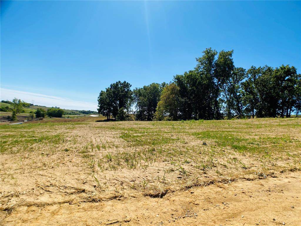 Lot 17 Fox Run Drive - Photo 1