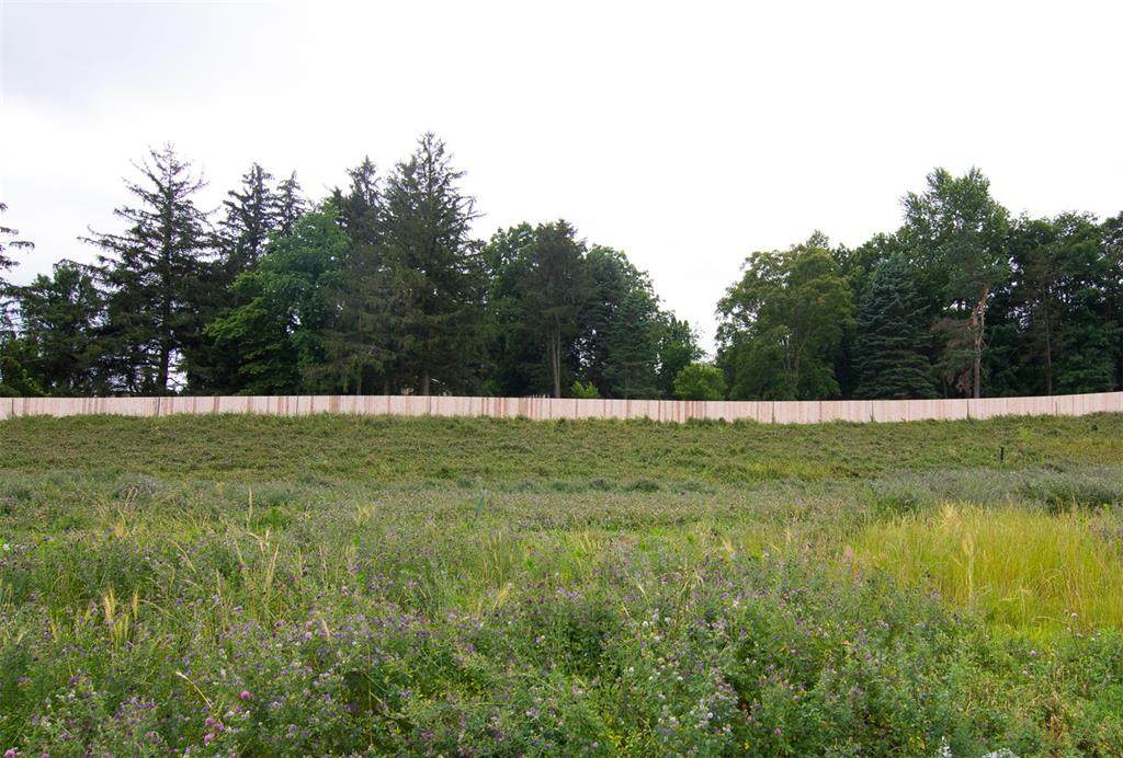 805 Silver Lane - Photo 1