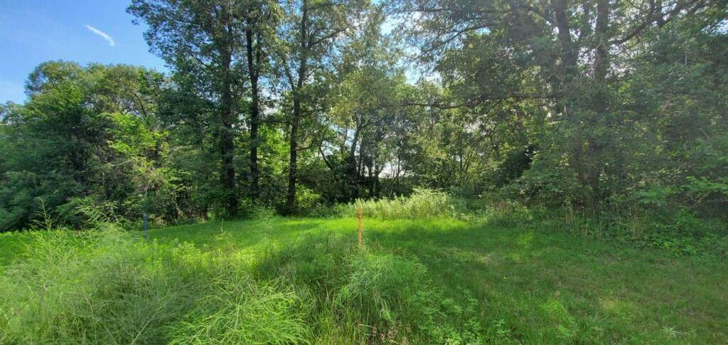 Lot 1 Lincoln's Landing - Photo 1