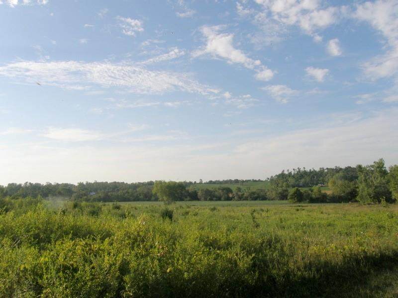 3663 Toddville Road - Photo 1