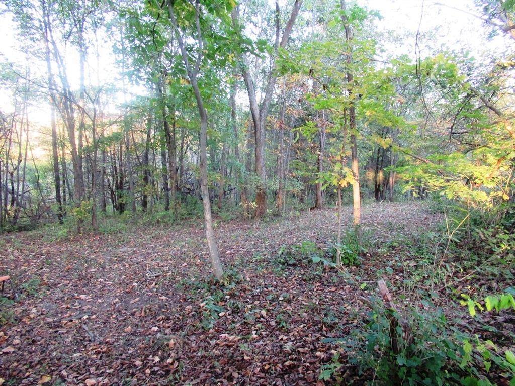 Lot 11 260th Street - Photo 1