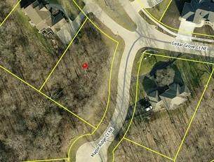 4031 Cedar Grove Court - Photo 1