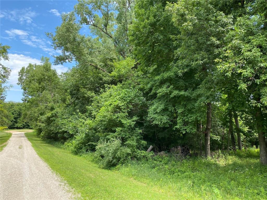 Timberview Dr - Photo 1