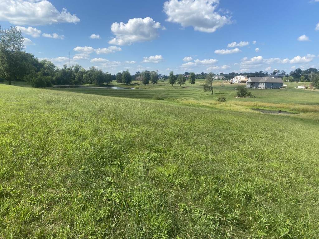 Lot 27 Timber Lake Run - Photo 1