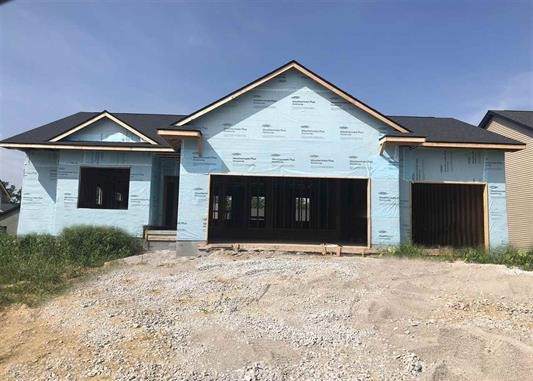4050 Anna Street - Photo 1