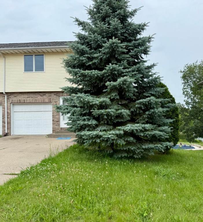 2208 Holiday Road - Photo 1