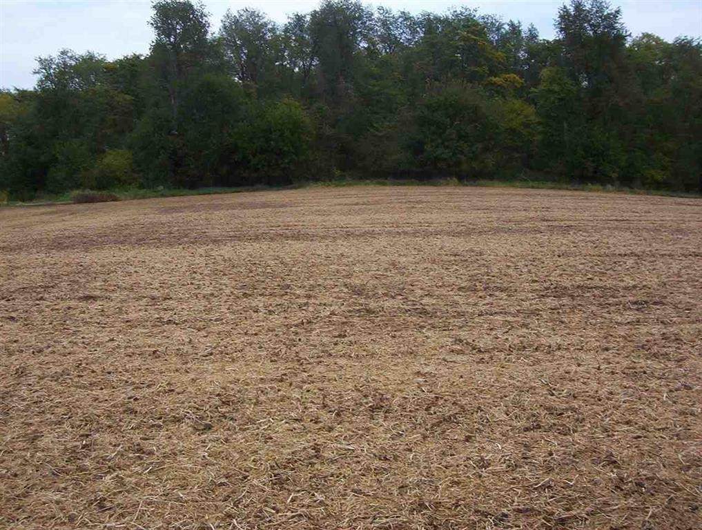  210th Street - Photo 1