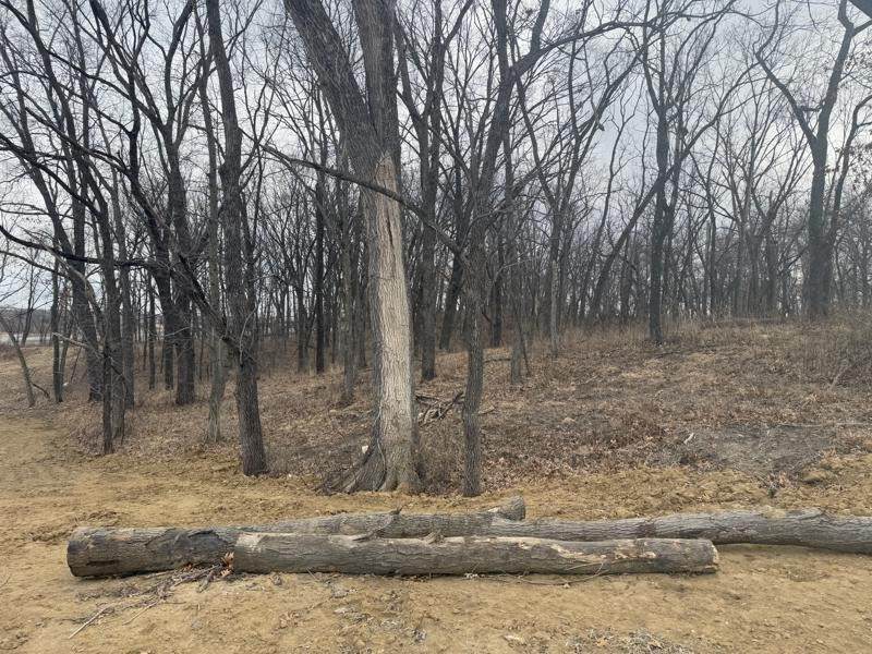 Lot 53 Madden Addition - Photo 1