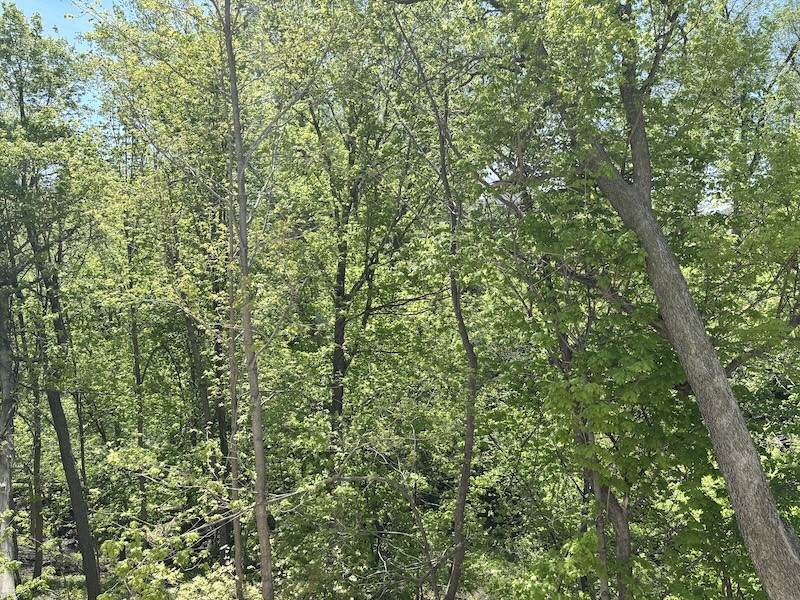 https://bt-photos.global.ssl.fastly.net/cedarrapids/1280_boomver_1_2603074-2.jpg