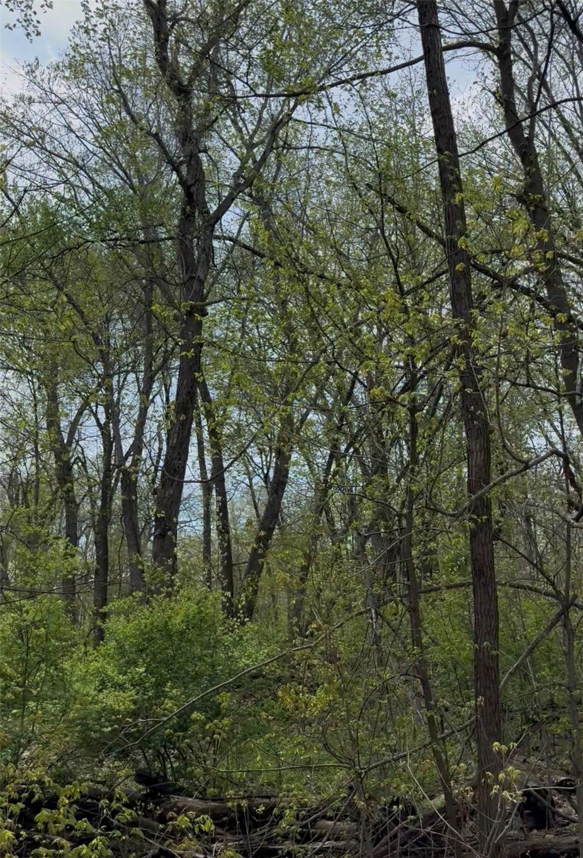 https://bt-photos.global.ssl.fastly.net/cedarrapids/orig_boomver_1_2603379-2.jpg