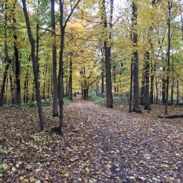 Lot 7 253rd Street - Photo 1