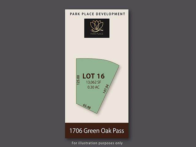 1706 Green Oak Pass - Photo 1