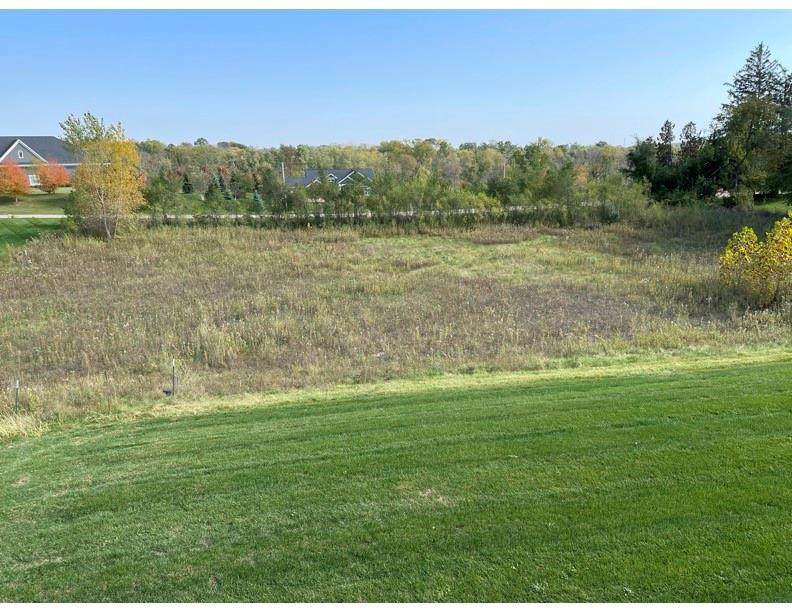 853 Tumble Grass Court - Photo 1