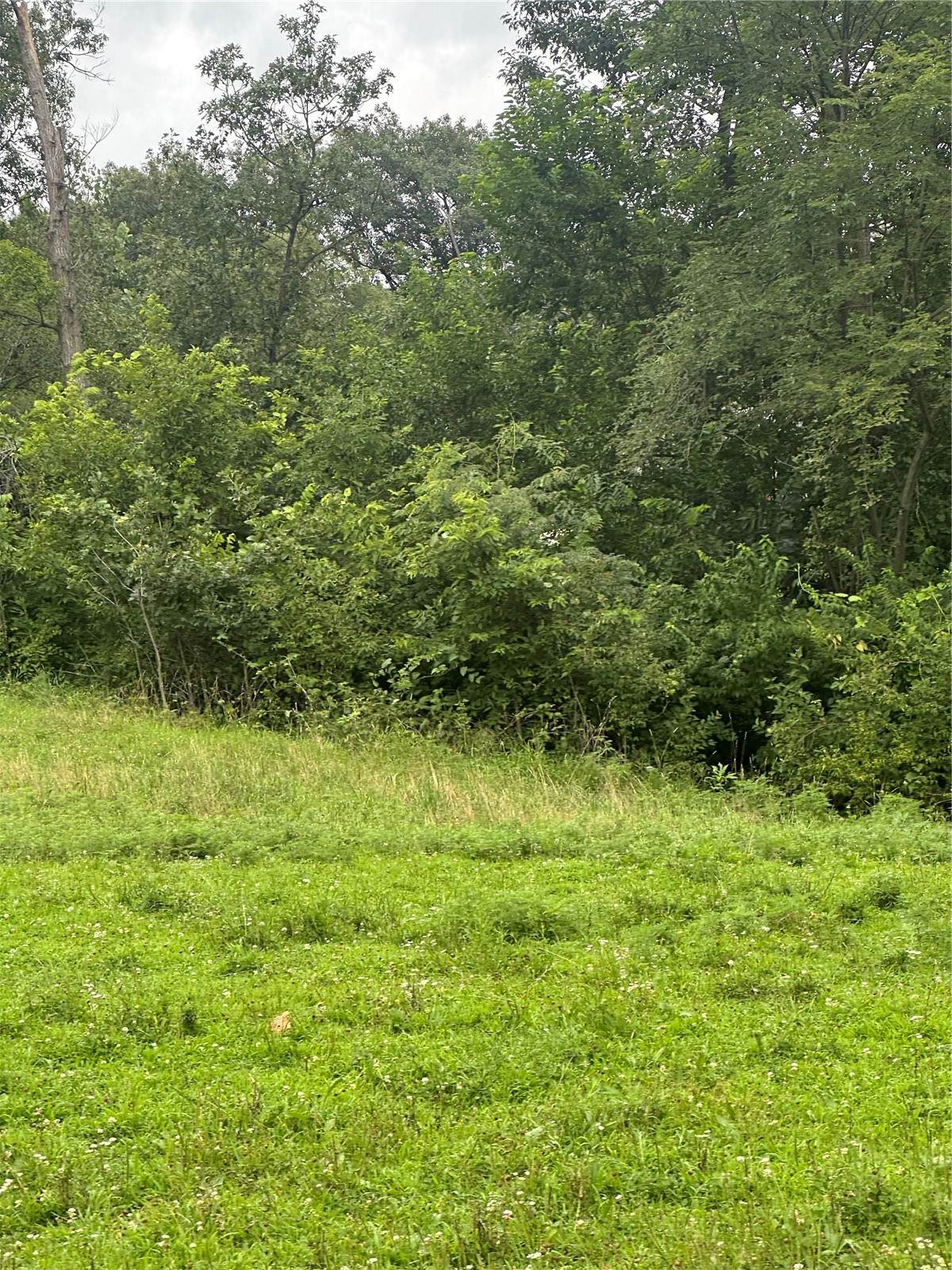 https://bt-photos.global.ssl.fastly.net/cedarrapids/1280_boomver_2_2506489-2.jpg