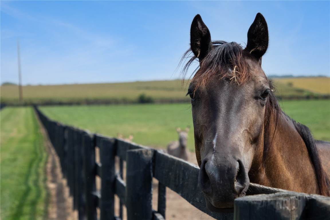 5901 Williams Boulevard - Photo 1
